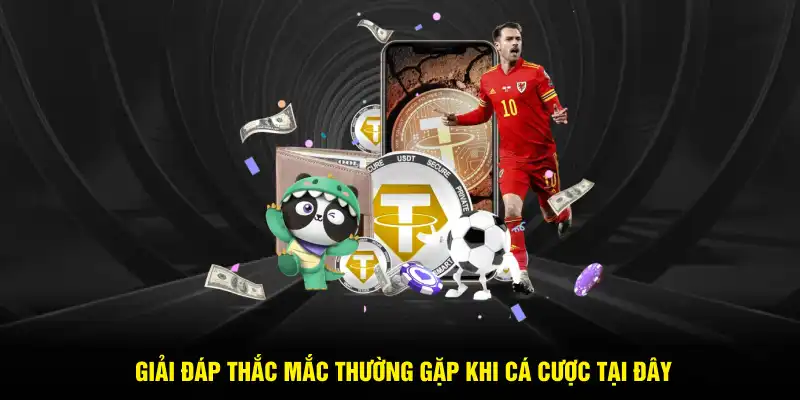 Giải đáp thắc mắc thường gặp khi cá cược tại đây