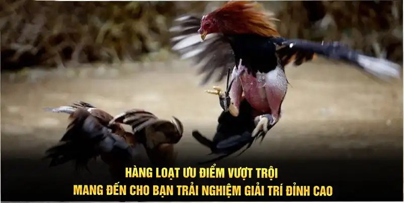 Hàng loạt ưu điểm vượt trội mang đến cho bạn trải nghiệm giải trí đỉnh cao